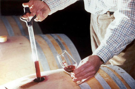 Dégustation de vin dans une cave, avec une pipette, fûts de chêne et d'accacia, verre de dégustation Savoie, vinification et vieillissement en fût